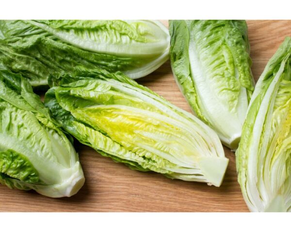 Lettuce Unwrapped Romaine