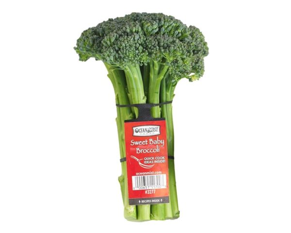 BROCOLLI SW BABY ORGANIC