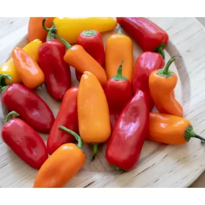 MINI SWEET PEPPER