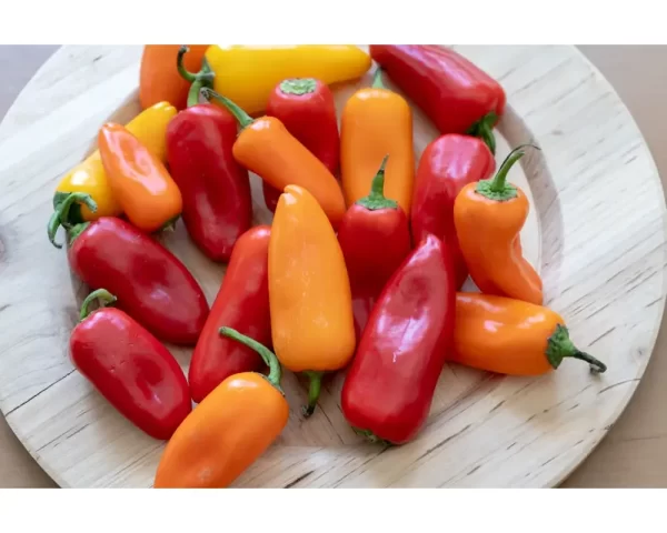 MINI SWEET PEPPER