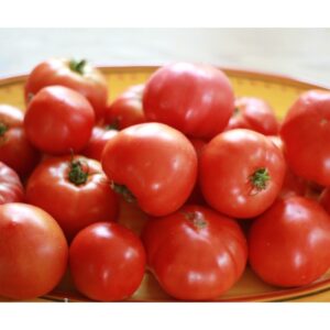 ORGANIC GROWN TOMATOES