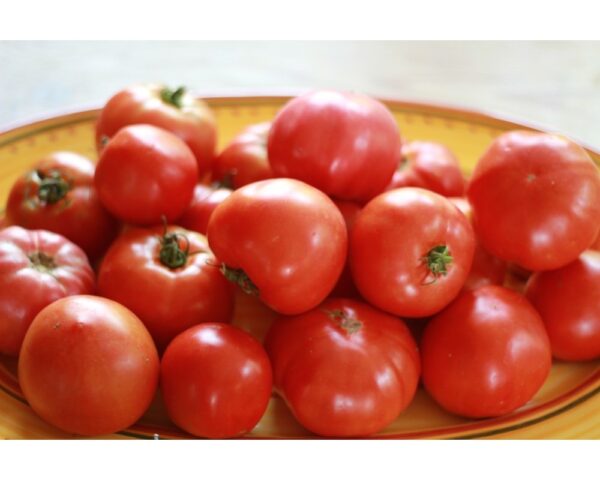 ORGANIC GROWN TOMATOES