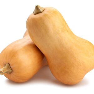 Large Butternut Squash