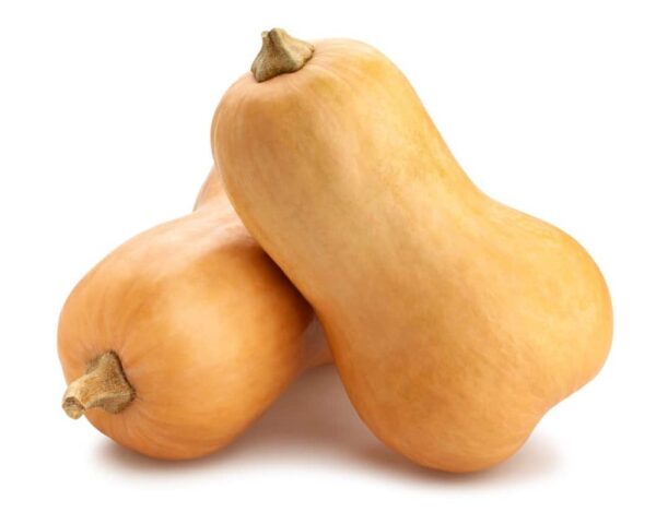 Large Butternut Squash
