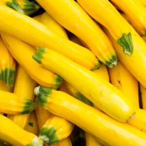 Yellow Zuchini Squash