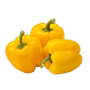 YELLOW BELL PEPPER