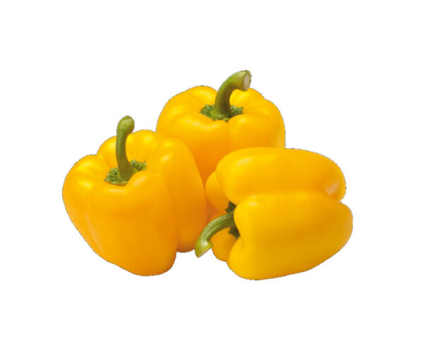 YELLOW BELL PEPPER