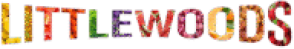 cropped-cropped-cropped-3-scaled-1__1_-removebg-preview-removebg-preview.png